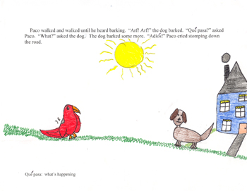 Paco the Parrot Looks for an Amigo