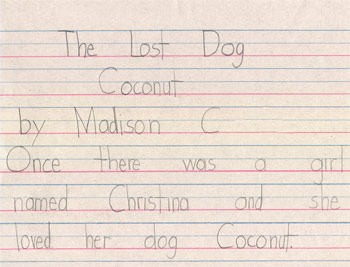 The Lost Dog Coconut