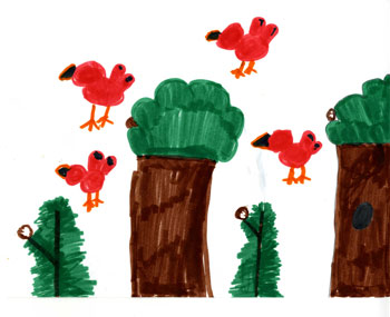 Birds Poems