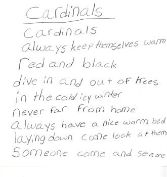 Birds Poems