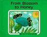 From Blossom to Honey