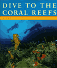 Dive to the Coral Reefs