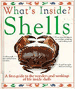 What's inside? Shells