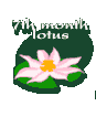 7th month lotys
