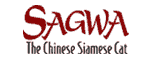 Sagwa The Chinese Siamese Cat