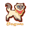 Sagwa