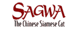 Sagwa The Chinese Siamese Cat