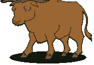 Illustration of a ox