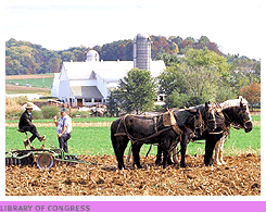 Amish farm