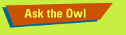 Ask the Owl