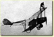 Wing walker