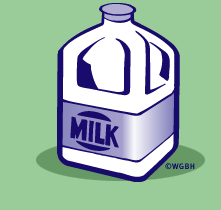 Milk Jug