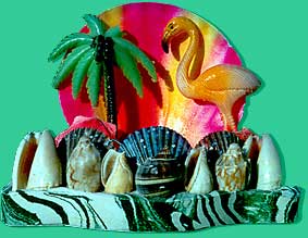 Shell souvenier