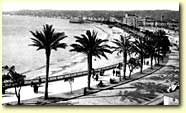 picture: strip of a beach