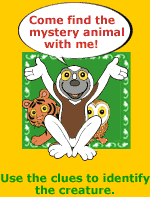 Come find the mystery animal with me!