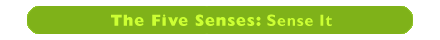 The Five Senses: Sense It