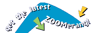 Get the latest ZOOMerang!