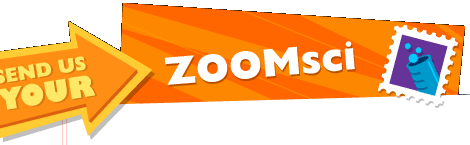 Send us your ZOOMsci results