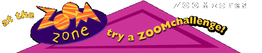 At the ZOOM Zone, try a ZOOMchallenge!
