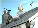 Mr. Flood Stuck On Roof