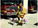 Firefighters Are Our Friends