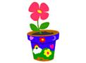 Sprout's Sprouting Flower Pot