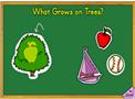 What Grows on Trees?
